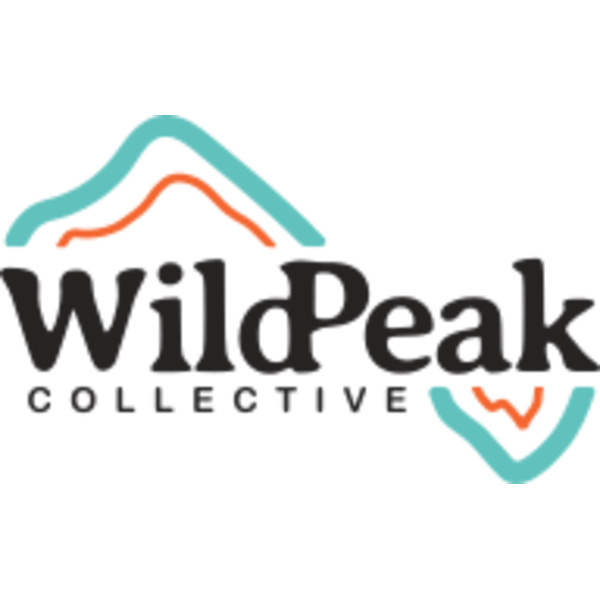 WP Logo Color Thumbnail